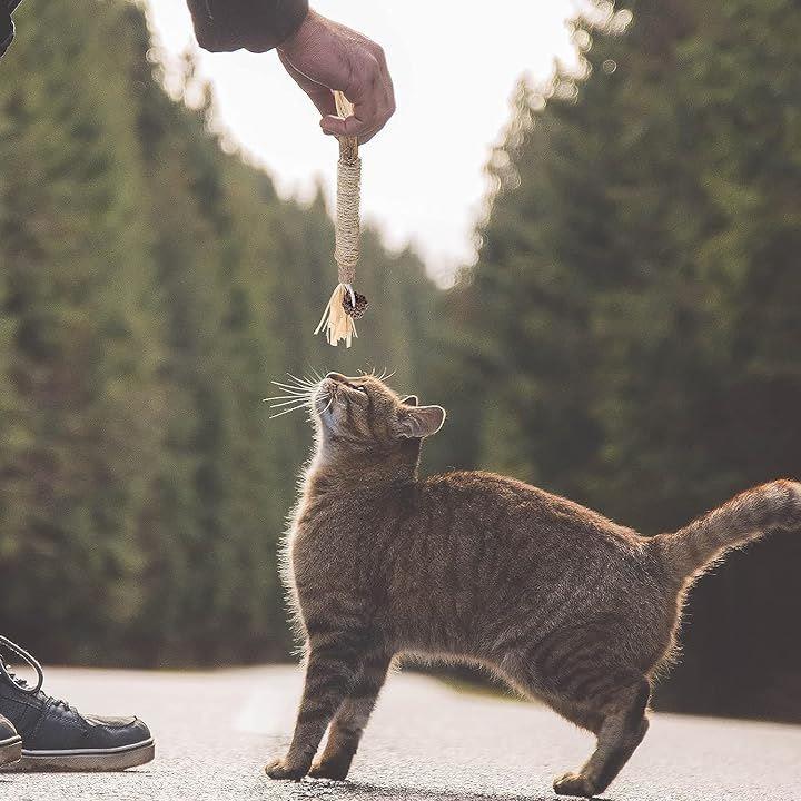 31f819f02ee006f006e00cc0000010800480000002010008020002807ee0eef7ebf2001c2720001e242b1a1e0924080b