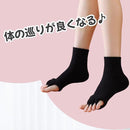 ffe5ffe5fff4fcecdfcdffcdff9dff99ff99ff18fc18fcf0fff3ffcbfffffffff9f9f90ef900f9f9f9f9f9f9a2a2f9bc