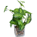 ffffffffffdfffbfffffe81ffc07fc27fc07f807f80ff81ffc1ffe1ffe1ffeff00000000000000000000463500004300