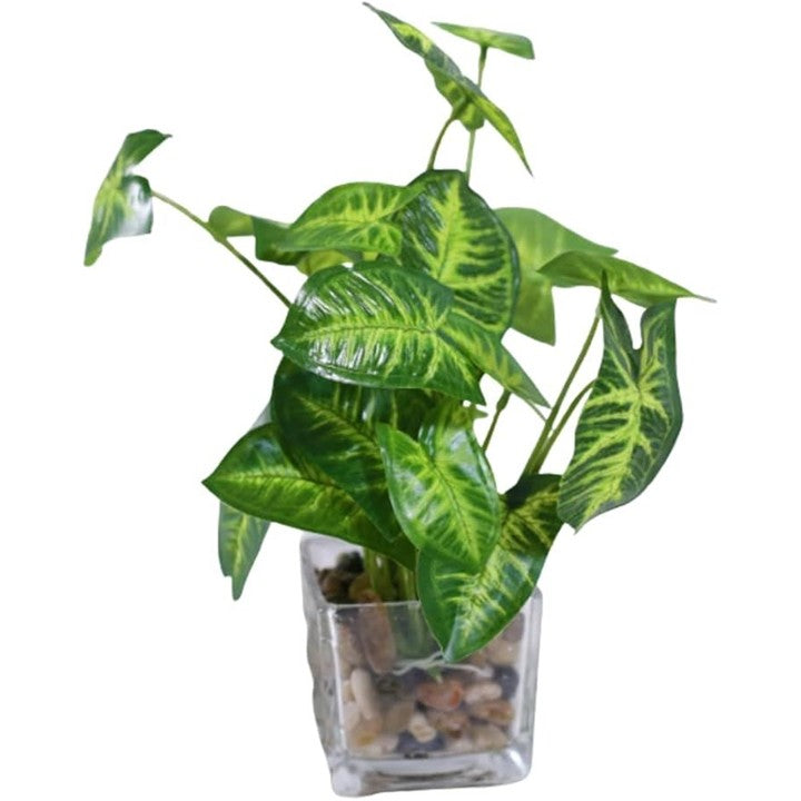 ffffffffffdfffbfffffe81ffc07fc27fc07f807f80ff81ffc1ffe1ffe1ffeff00000000000000000000463500004300