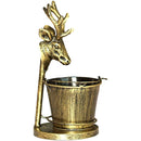 fffff9fffcfff8fff8fff8fff87ffbfff80ff81ff81ff81ff01ff01ffdffffff