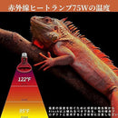 ffffffff000007c082c0b1f00cf800fc119e181f181738033c033c007c007e1b0d0d0d0d11eb0e000000090900000004