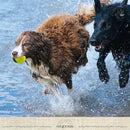 fff3fff0ffe0fc10e618f000e010d018f012f83afe7afffaff80ffc0ff80ffff9695958d94021199951c108395939598