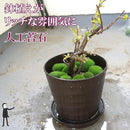 fbfffbf7f03fc67e81f763ff1fdf7e47fc03fc23fc01fc07fc07fc07fc03fb07262000001ee7240f6b1e422297b31214