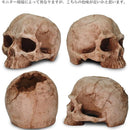 ffffefddffffe1d3c08188a080819080c180ffffe1c3c0c1c080c080c080c100000000000012000f000e00100012000e