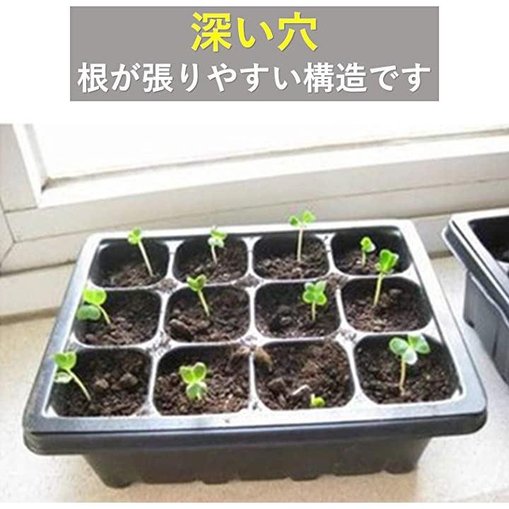 ffffe007fffffffffffffffffffff406e004e006c002c002800389818007e007