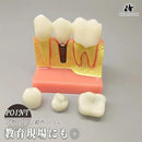 0f800e03ffe0fff0fff8f02cf00ef80cfc50fff0f800fff4c3728f97a6fff27f1e1e1e241e1c1c241b0a091917211f1f