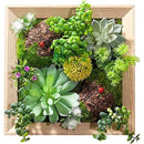 ffffffffe043f987f00fe007e00bf00be803e803e003f283c603f483f033ffff