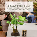 0df25ffe1ffe9ffe1fde9ffe00467008c0200018203f0cff0cff0cff0c4f184f1012100b0f22040f10170ea423171313