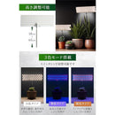 ff00080fff07ff00ffe0ff00ff12fffef98fffff8000f80180008000fc00bfff0000abab00000d32abab6d6b00aba49e