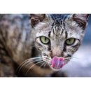 77c1200a55dc319c3fe33fff0e6e1d7008f1117700af11bf06ff0a6f003f000f4e989ca114abd2b61200f5bd1a1289bf