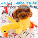 ffbfab8be7ffcb06fe07cc03f003fc03f00fb81ffc098448805f89ddedffc5bd00b21c1cb3950c0b221f1e1f201f2104