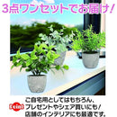 fff3fff7fff3faf3c103c061c641c831c0f3d033fbfdf7f1f9c1ffffdfeff337008e8e90003e409a0042937c008e1a8e