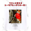 fffffffffc3fd18bfffff0bff00ff00ff80ff00ff00ff00fffffffffffffffff0000000000a4bda2003c05b20000d5a4