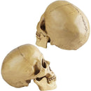 ffffff87ff03ff03fe02fe02fe00fe01f2c1c1ff81ff807f80ff807f803fe67f0000000000001c1c001a2019001c1700