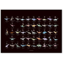 ffffffffffff80008000800880008000800880008202821080008000ffffffff00000000000202020002020d00020202