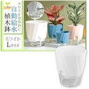 ffffb00098009804b800b186bb82bb82ba02bfffffffffffffffffefffe9ffe1000000000077303000003d8e00000000