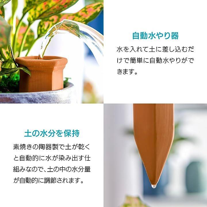 00ff00ff40ff1fff3eff43ff07ff06ffff20ff23ff03ff21df23f322e522ff22