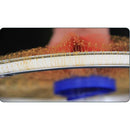 ffffffff000000000000001f7fff8000000000000000ffffffffffffffffffff