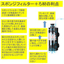 ffff8000ffff81c391e381c3a1ff81f981098109810d81098109c1ff810fff0f00000000002d0053002b2bd500292bd5