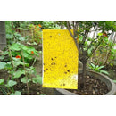 2d207ca013e65bc623d13de92bed57e0afe0f3f8c7ee1fa623a09be803e400c04a46365d313224385b46262b1f3c2815