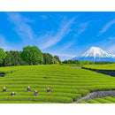 fffffffffffffffffffffffff7ff17ff027f00046083004080010c0131010008