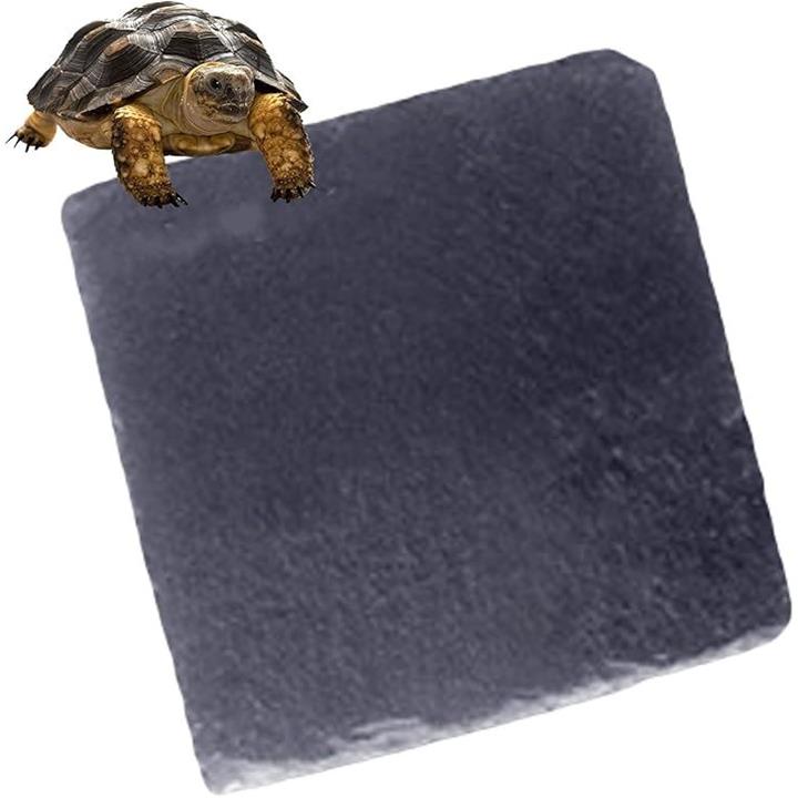 ffffc3ff8307e003c003c003c003c001e001e001e001e000f000f007f1ffffff0000000000aeaeae00aeaeae00aeaeae