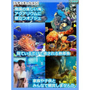 fffc8609d114fef690109f8081789809dea0ce88e7808f02ff88fb02a9e1d9ef99999999999da492991432139990942e