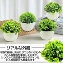 fffffff9fff0fff2fc7fe86702c1078180d8f9ff3c0ffff82e81fff0e7a0f5f0922b932b923241352470173a00000035