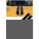 0000000080001c01181ff811fea0ffc1ff07fe0ff83ff07fe0ff83ff07ff9fff