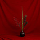 9fca4b7a47f723b5a9fdb5ff5bfa4cde0a500259004000400000000000785fffffffffffff0000ff00010000ff0000ff