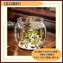 00006fff400740014003419955f14ee14a4148c14ec147f54369480f486f7fff0101010101061004010b1b0b010f1110