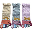 ffffffffc32be221efb5e6bdd62dc225f22dc669c237c221c001835fbdefffff00000000002d8fc6003697c40009e2fa