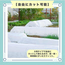 ffff31c65ffd50014001403941f94fff7ffffe017fff7fff7fff7fff7f7f7fff2b8989897e24273a7e999e9e7e9e9795