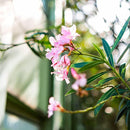 fdbffdbffdfffdfff8dcf19e3721fb86f984f9c0f920e90499008b008300e100