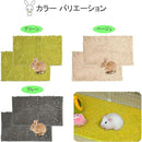 fffffffffffffffff7f7c0dbc0cf80d583f3839fe3ffc080c0808084808c8180000000000052005200290015001b0024