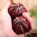 fbfffbfff9bff0dff00df068f03cf81cf9eff897fc13fc03fc03fc00fe00ff20