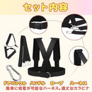 fffff50fffeffcf1fc68fcfcdffdf49bf49fbd19f159f959f80ff80fefffffff231d1b091f1f00001f331f1f20202b1f