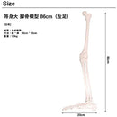 3fff000100253fed07ed1fedffedffcdffcdffedffedffedffedffe5ff05ff07