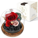 ffffffffffcffffefffefffff87fe01fe03ce07bc0bfc01fc01fc01fc03ff07f000000000000333300fd642200a20000