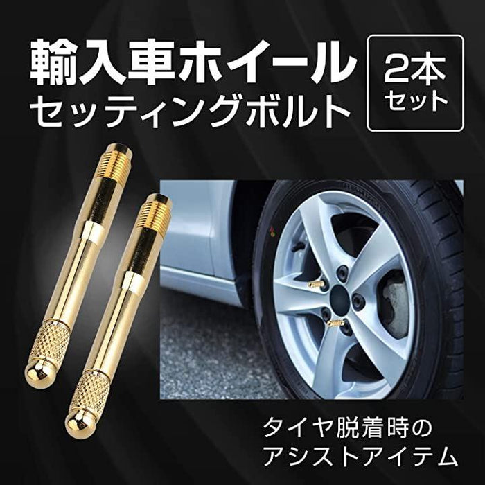 NS-1 ホイール セットホイールベアリングエアバルブ以前交換