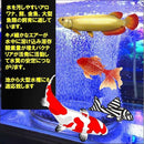 00004dff41fe217e11ff01fd31fd11b901fd15fd01fd01f800c071d9270f03df2b00b3b5ab158dab9c00a4feab00a6b2