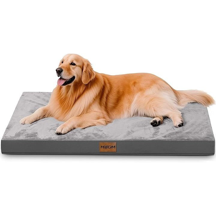 fffffffffffffffff9fff8fff807c000c000800080008000ffffffffffffffff00000000000000000010110c00000000