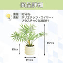 000003400000ffffdffffd7ffffffffffcfff00ffd3ffef3fefffe7fffffffff373737379b9b00009c9c4bab00002e9b