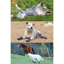 0080691030b40ebc8e008000fdffff7ffe7fffc3e77f000800040000e9f0dffe37373a3bab9cb33a151a1016928f9e74