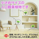 fffffbfff7f1827877f8f7e8f7f8ffc0ffec76ff37c03ec0f7fe7ffffcf1e4443c6b4755242e3024323c322634212927