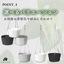 ffff97ffffffb0219eefed73ffffdfdffbdd99ff8dff8dffffffffeffce8bce800000031004e4e41002b443100ab004a