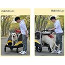 fffffffeffffe982c28e968a8682829283b3a0a4819d80cda889809180808280