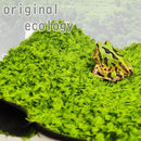 fffffffffffffffff27fec87ce9d0612001500203434184100140202021000204164453f3c3635403a3a3319eb373734