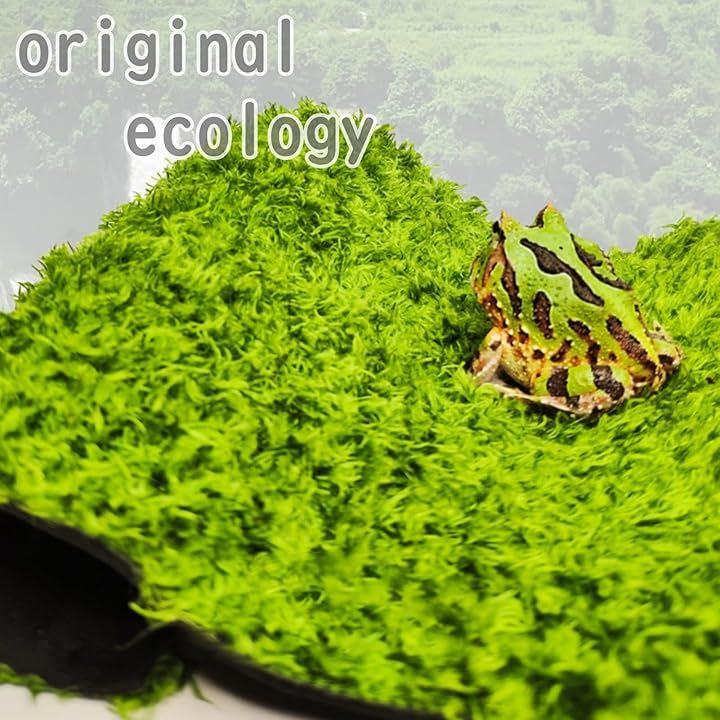 fffffffffffffffff27fec87ce9d0612001500203434184100140202021000204164453f3c3635403a3a3319eb373734